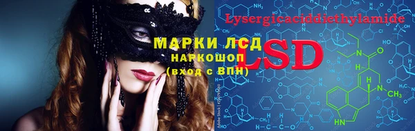 гашик Богданович