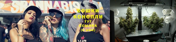 гашик Богданович