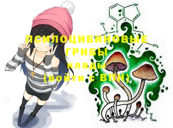 гашик Богданович