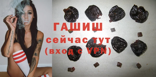 гашик Богданович