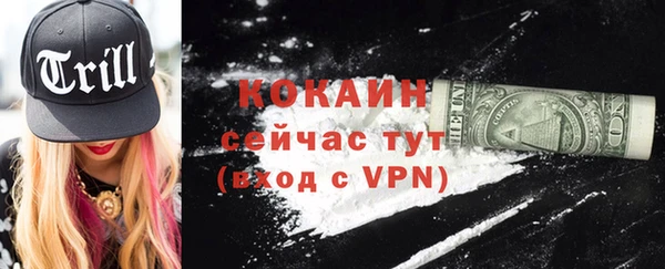 гашик Богданович