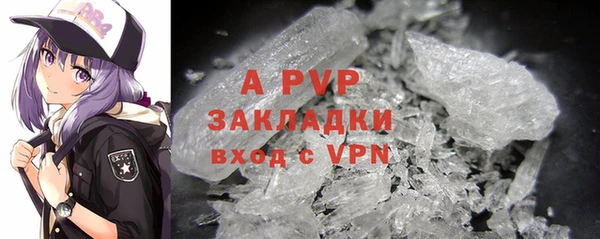 гашик Богданович