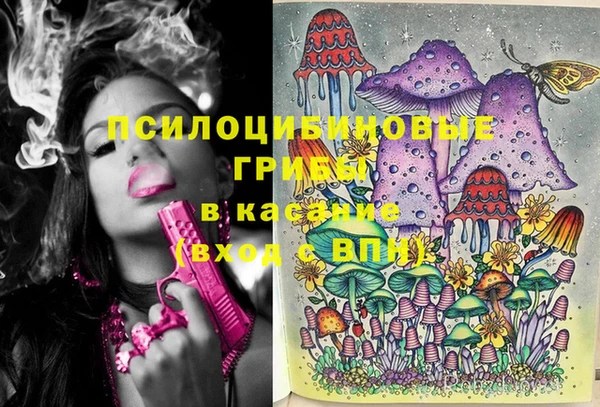 гашик Богданович