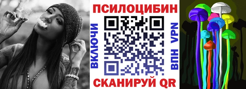 Псилоцибиновые грибы Psilocybe  цена   Демидов 